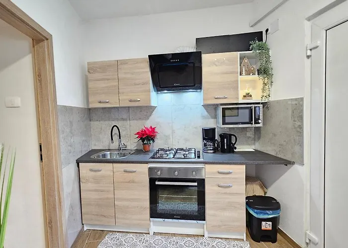 Appartement Center By Istrian